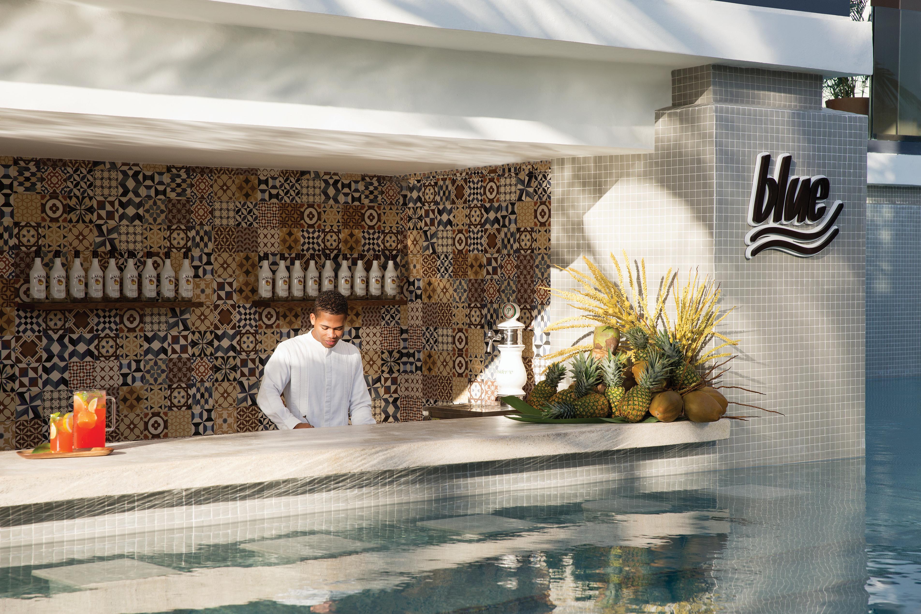 Excellence El Carmen (Adults Only) Hotel Punta Cana Exterior photo