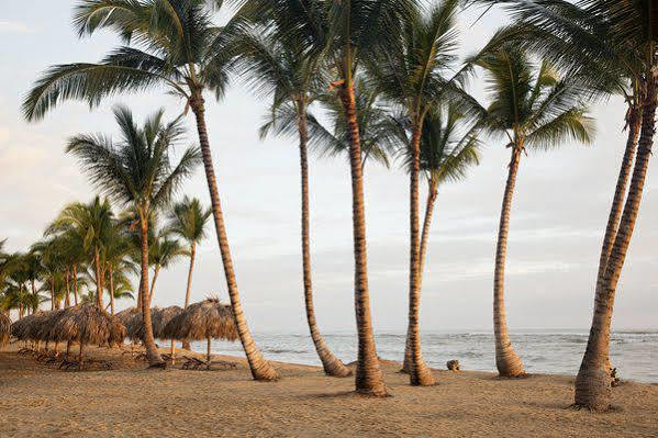 Excellence El Carmen (Adults Only) Hotel Punta Cana Exterior photo